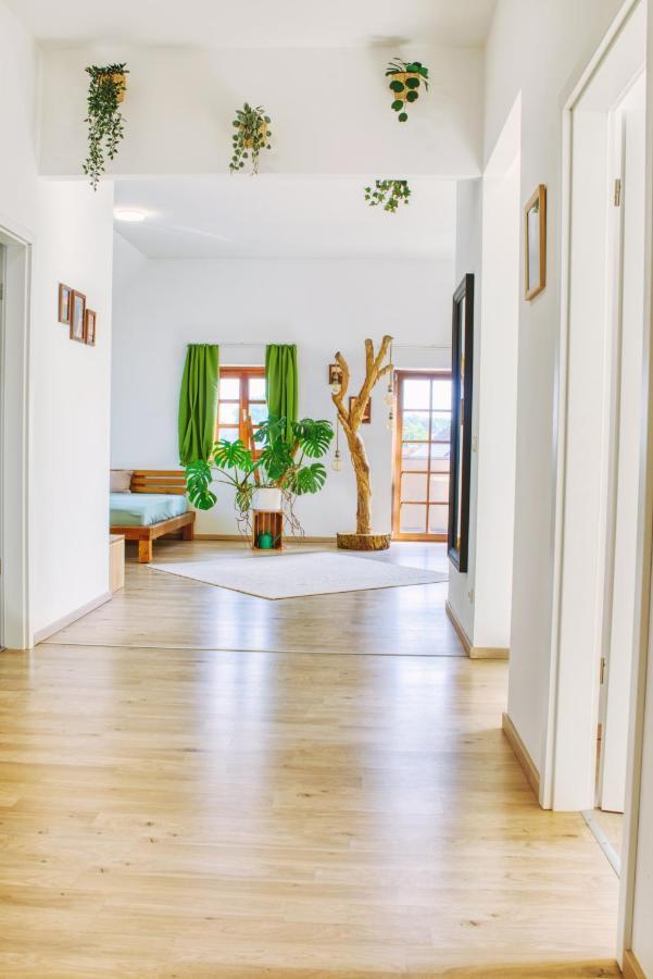 Luxus Apartment! Kueche, Balkon, Netflix, Parkplatz - 8 Personen Ilmmunster Exterior foto